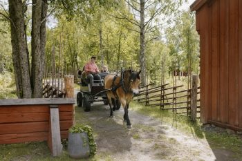 Sommar på Gammlia!