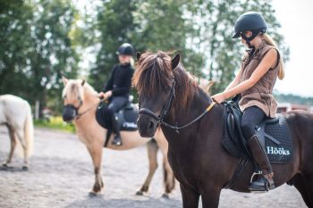 Sportlovsaktiviteter på Röbäcks 4H-gård