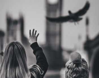 Fågeln – interaktiv berättelse på Tegsbiblioteket