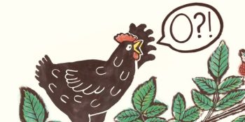 Påsklov på Bildmuseet