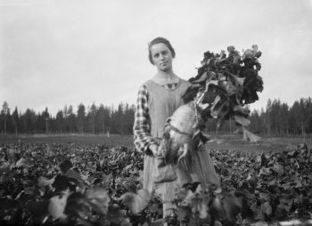 Kvällsöppet i fotoarkivet