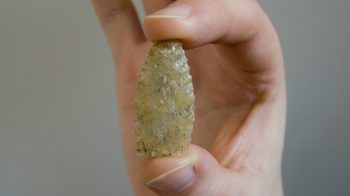 Föreläsning: Umeå 4000 år