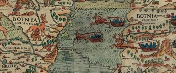 Umeå och Vasas gemensamma historia