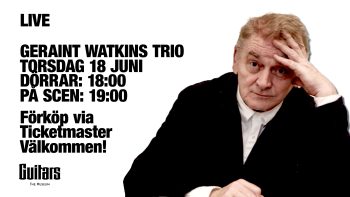 Geraint Watkins  – Museibaren / Guitars