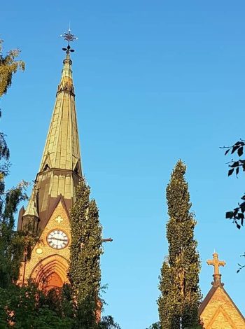 Guidad visning i Umeå stads kyrka