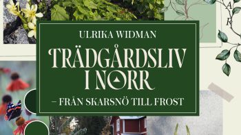 Författarbesök på Ersbodabiblioteket: Ulrika Widman