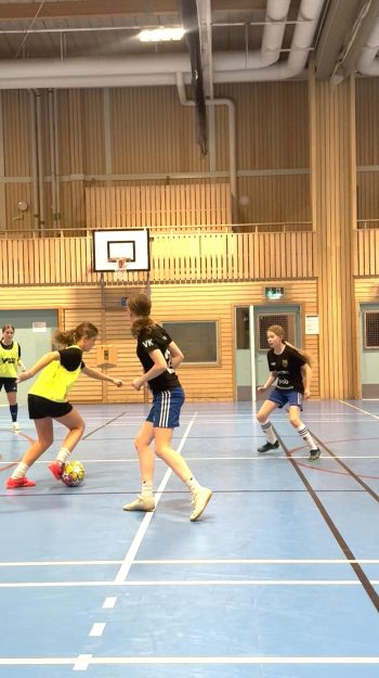 Umeå IK Vinterakademi 2026
