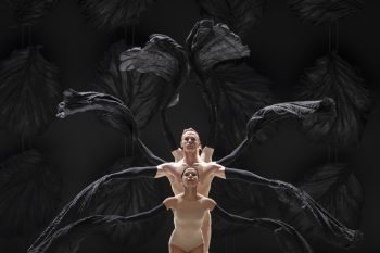 Malandin Ballet Biarritz möter Norrlandsoperans symfoniorkester