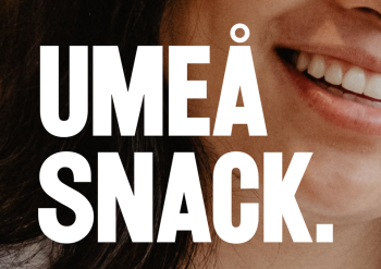 Umeåsnack om beredskap för företag