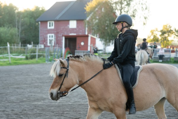 Prova-på-ridning 3–6 år