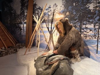 Familjevisningar på Västerbottens museum