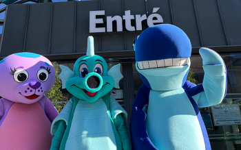 Poolparty för dig i årskurs 7–9